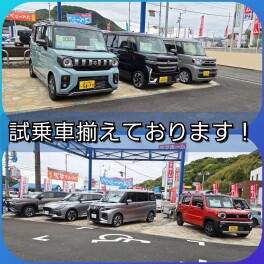 試乗＆査定キャンペーン実施中！